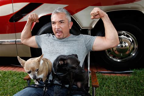 Celebrity dog trainer Cesar Millan is known to his millions of fans as the Dog Whisperer. His techniques came under attack during a hearing about a dangerous dog in a B.C. provincial court. (YouTube)